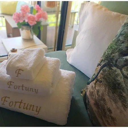 Le Fortuny - 3 Suites, 2 Apparts, 1 - Proche Tram Ligne Aeroport Et Parking Gratuit Bed and Breakfast Mérignac