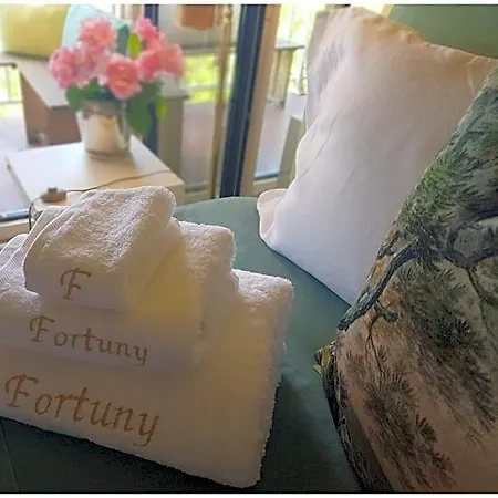 Le Fortuny - 3 Suites, 2 Apparts, 1 - Proche Tram Ligne Aéroport Et Parking Gratuit 4*